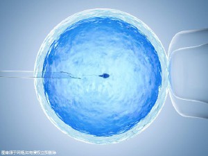 供卵代生医院代生包成功